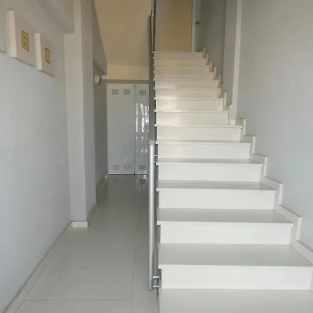 Anacasa Renoir Nova Met Ap204 * Oliva